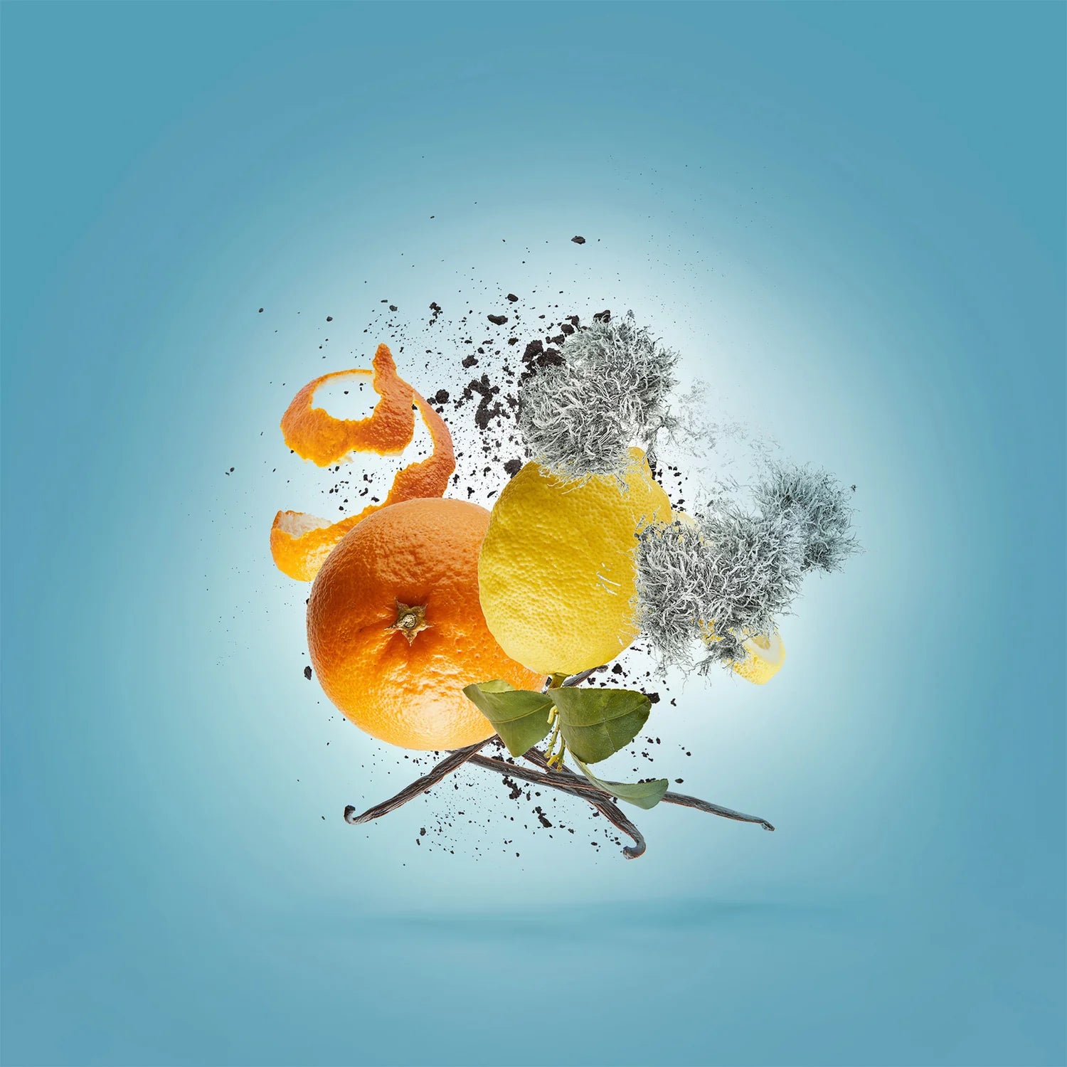 XERJOFF - ERBA PURA EDP