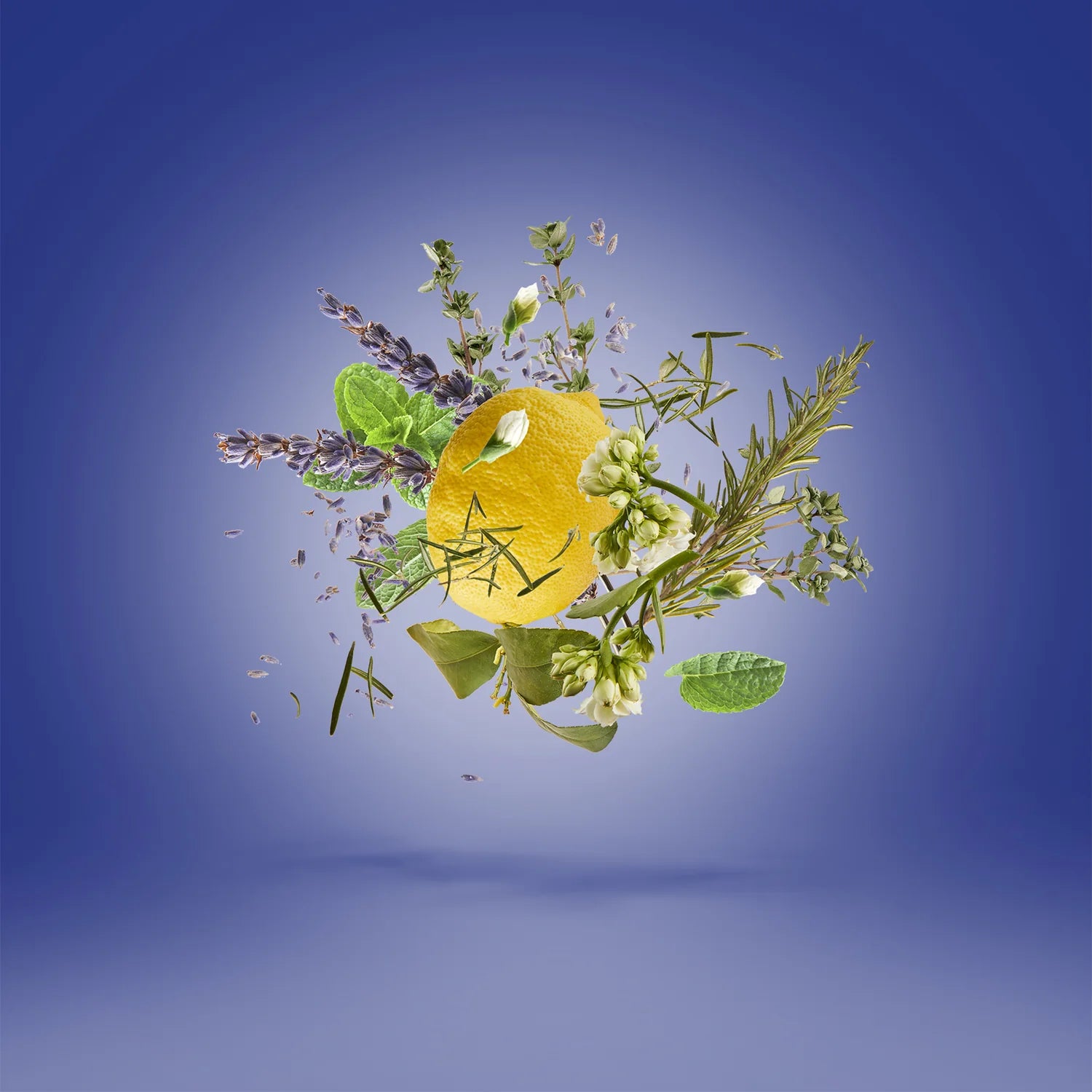 XERJOFF - TORINO 21 EDP