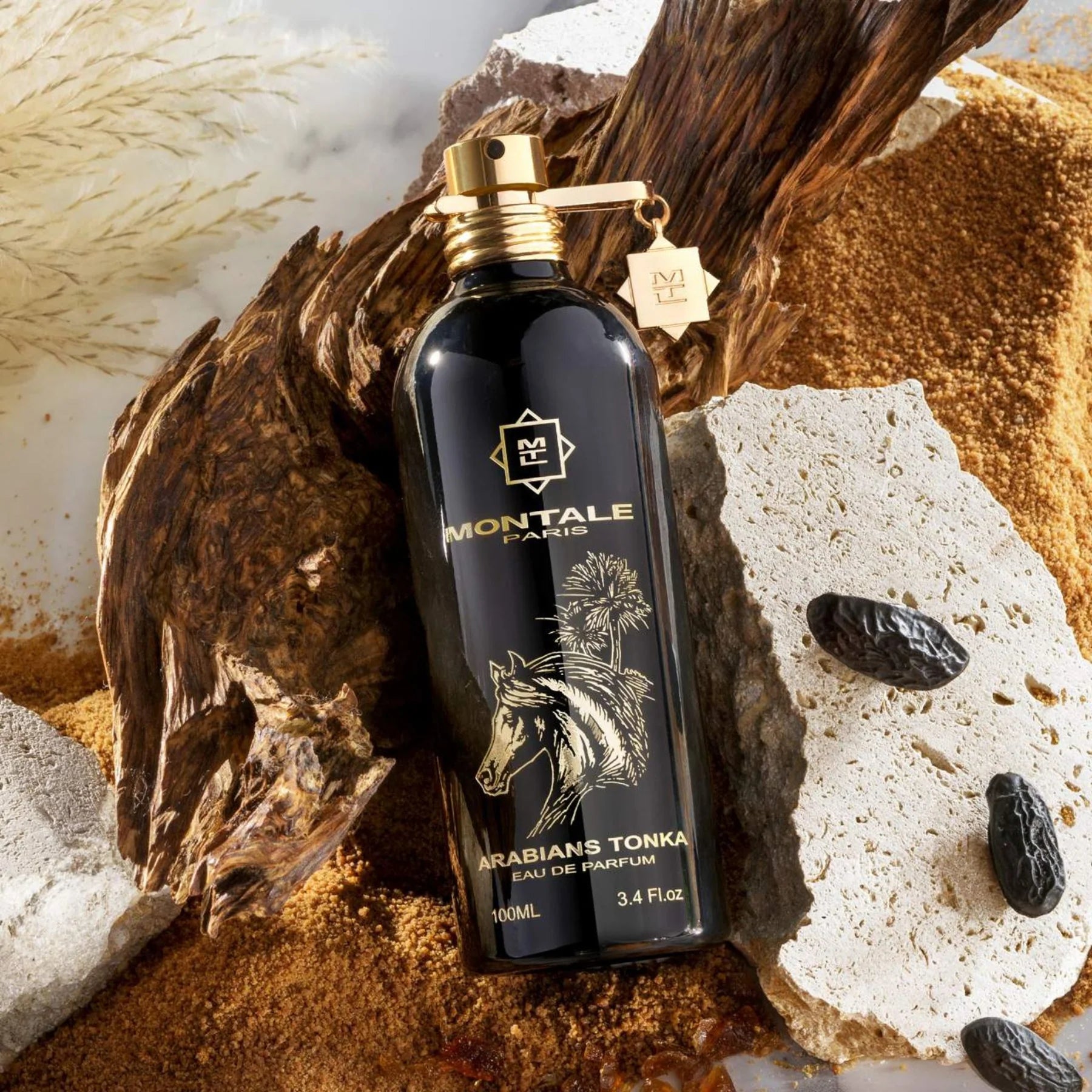 MONTALE - ARABIANS TONKA EDP
