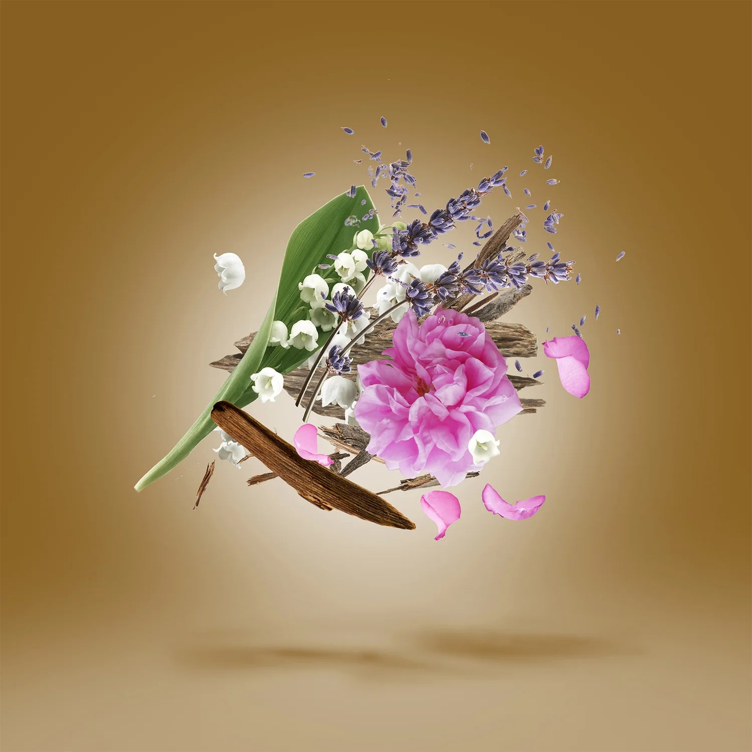 XERJOFF - ALEXANDRIA II EDP