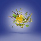 XERJOFF - TORINO 21 EDP